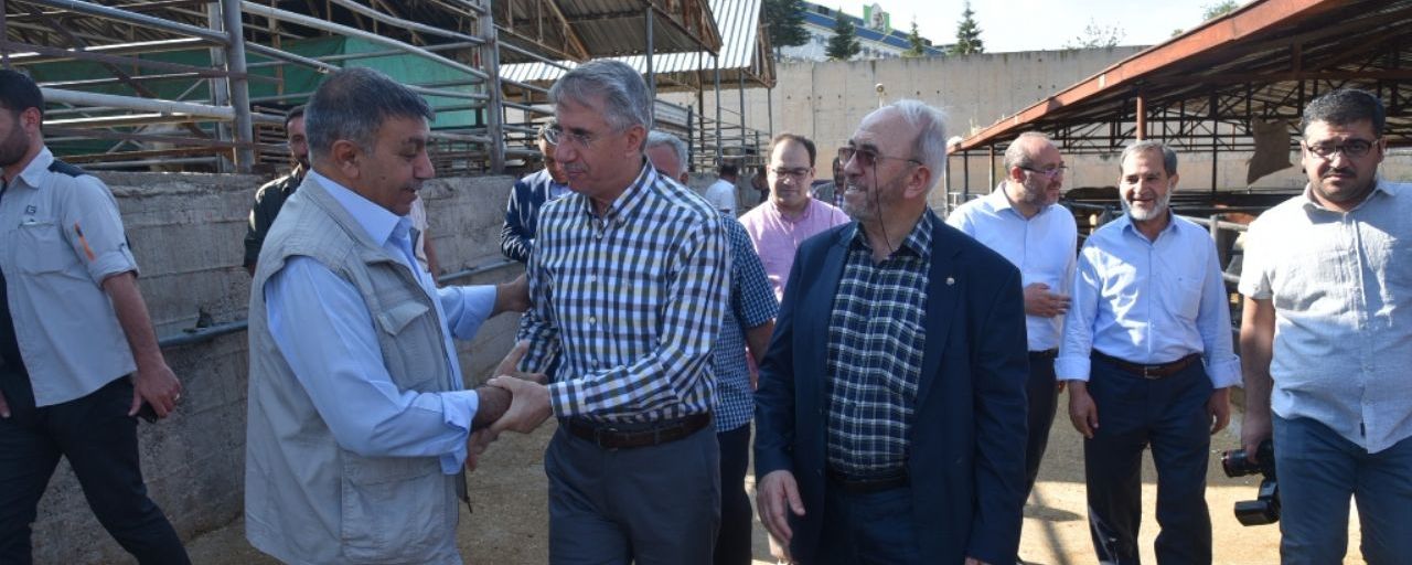BELEDİYE BAŞKANI MÜCAHİT YANILMAZ KURBAN BAYRAMI ÖNCESİ CANLI HAYVAN PAZARINI ZİYARET ETTİ…