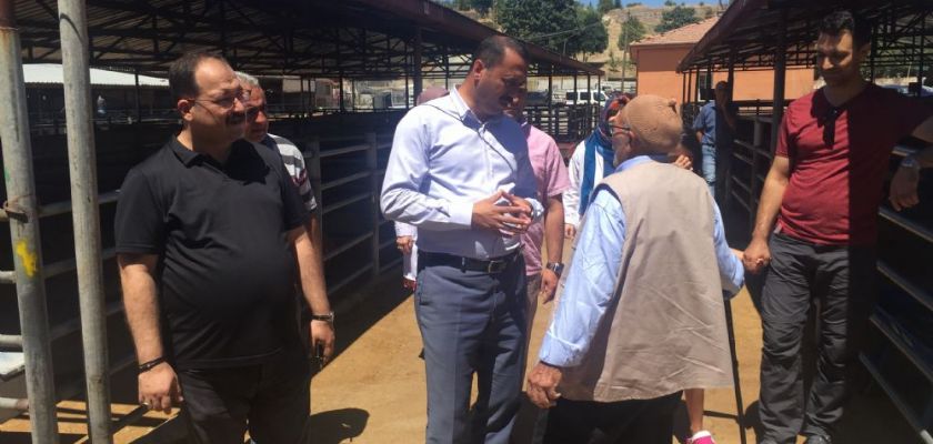 TARIM İL MÜDÜRÜ TURHAN KARAHAN HAYVAN PAZARINI ZİYARET ETTİ.